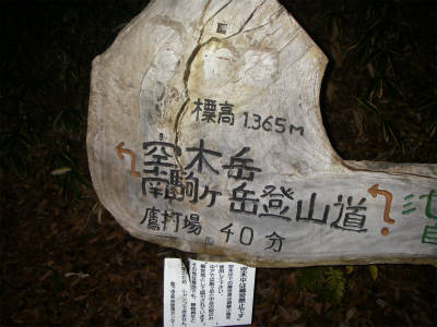 林道終点の登り口