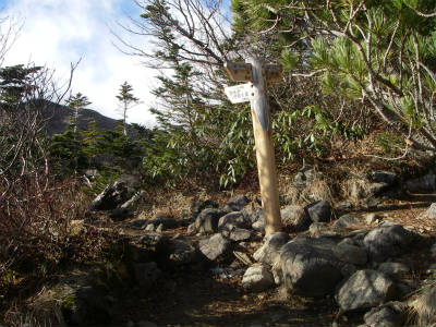 空木平手前の分岐