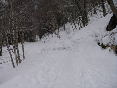 雪崩の跡