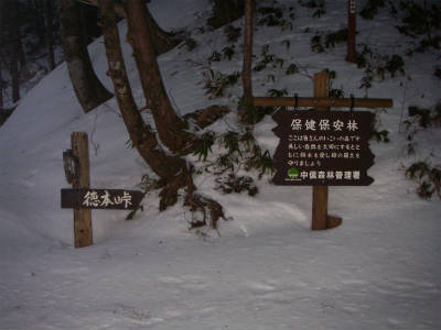 徳本峠分岐