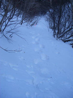 峠への登り